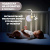 76270 Музыкальный мобиль Next2Dreams нейтральный CHICCO 76270 Музыкальный мобиль Next2Dreams нейтральный CHICCO