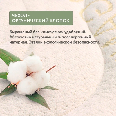 Матрас Plitex Organic Twin 120*60